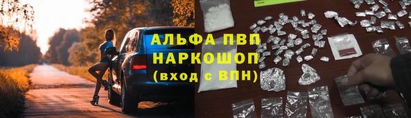spice Бородино
