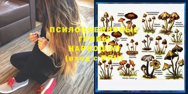 сатива Волоколамск