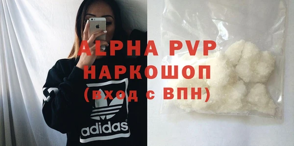 индика Волосово