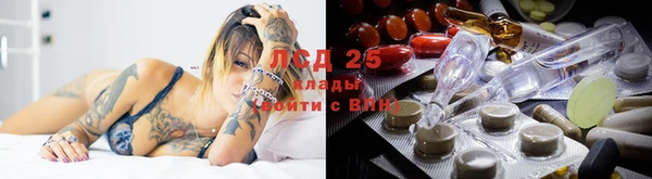 spice Бородино