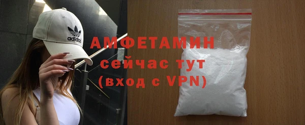 гидра Богородицк