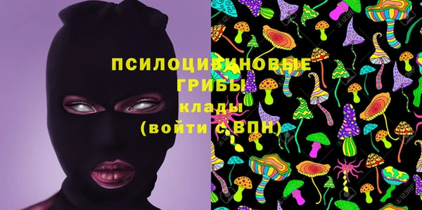 spice Бородино