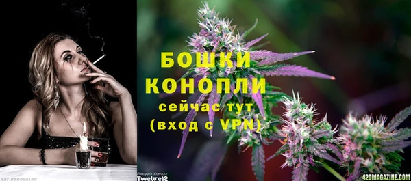 твердый Володарск