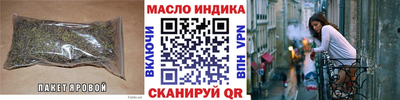 закладка  Новоржев  ТГК концентрат 