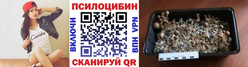 Псилоцибиновые грибы Magic Shrooms  Новоржев 
